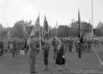Svenska Flaggans dag på Strömvallen den 6 juni 1950