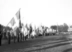 Svenska Flaggans dag på Strömvallen den 6 juni 1950