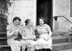 Storvik-Hammarby. Tre kvinnor sitter på trapp. Den 8 juni 1950