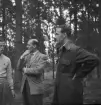 Flygolycka vid Karskär. Den 29 augusti 1950