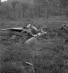 Flygolycka vid Ockelbo. Den 31 juli 1951