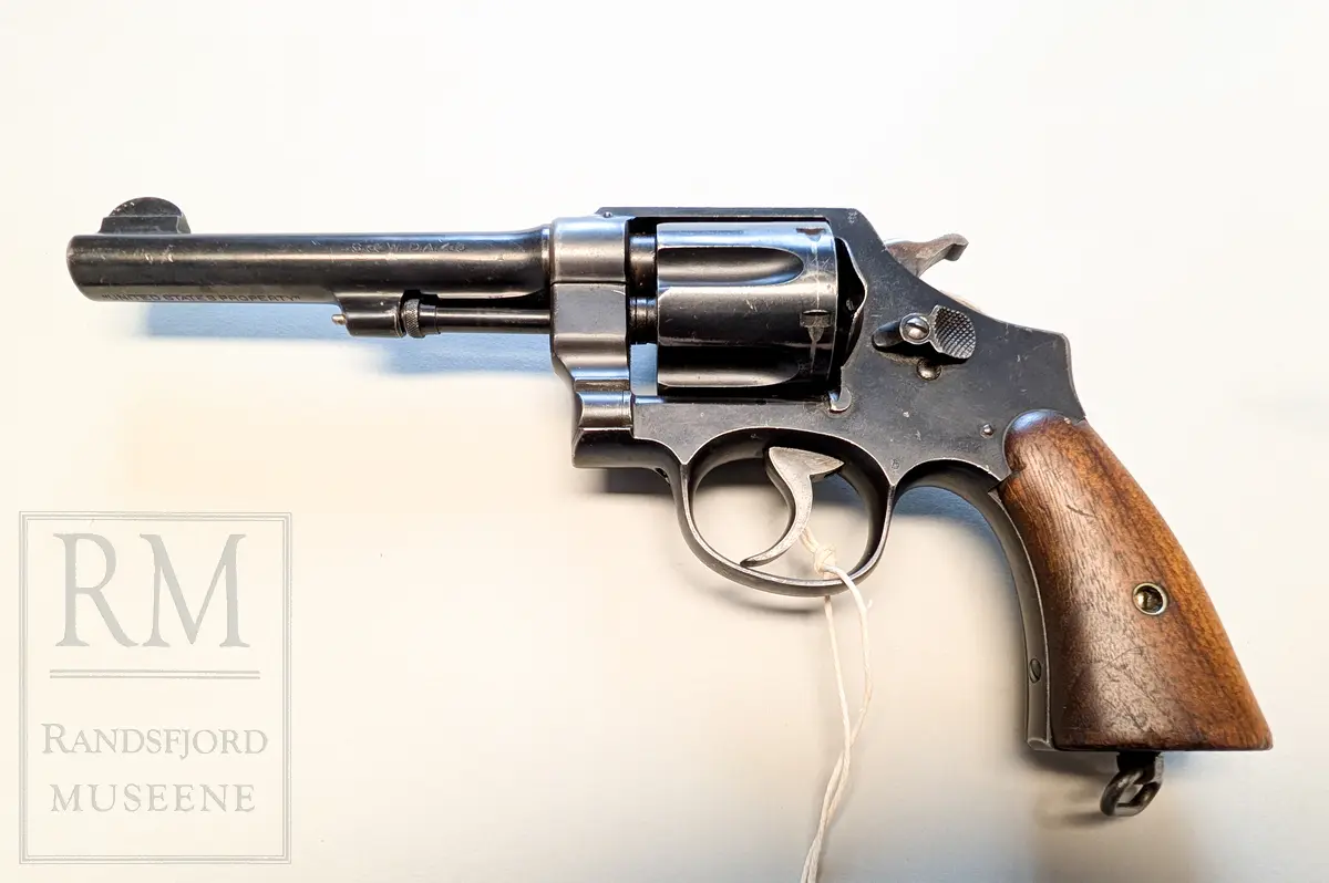 45 kaliber (ACP)