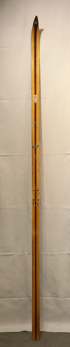 Treningsski med bjørk overplate og kjerne, såle i hickory og kanter i lignostone. 