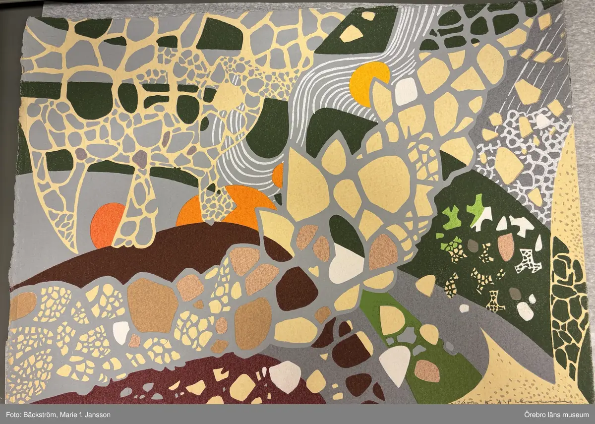 Reticulatus I [GRAFIK]