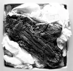 Norsa, Köping stad (RAÄ Köping 131:1) - arkeologisk undersökning år 1964