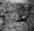 Köping sf Norsa RAÄ 131 Grav 1 undersökt 1964 av E. Nordahl