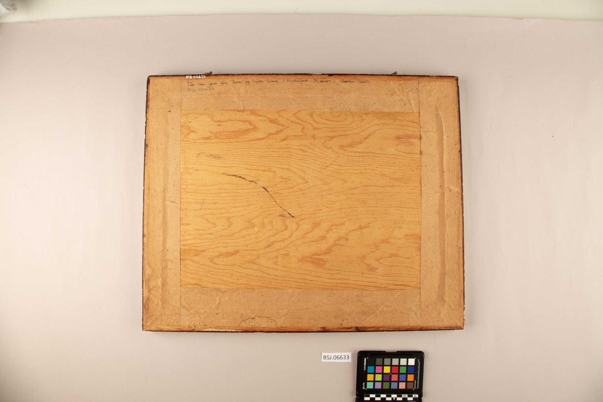 Brodert silkebilde med fotografi av ung mann. Midt i motivet fem ulike flagg som dekor rundt fotografiet. Fransk flagg, amerikansk flagg, Storbritannias flagg og trolig Ottomansk flagg (halvmåne og stjerner).