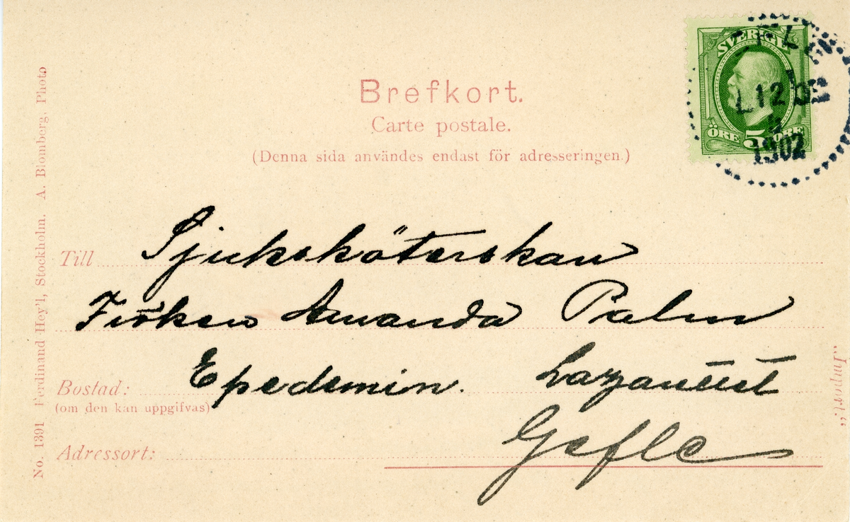 Brevkort adresserat till sjuksköterskan Amanda Palm, 1902. Motiv av Rosendals slott i Stockholm. Text på framsida kort: "Amanda gratuleras hjärtligt på tjugofemårsdagen af ?!!".