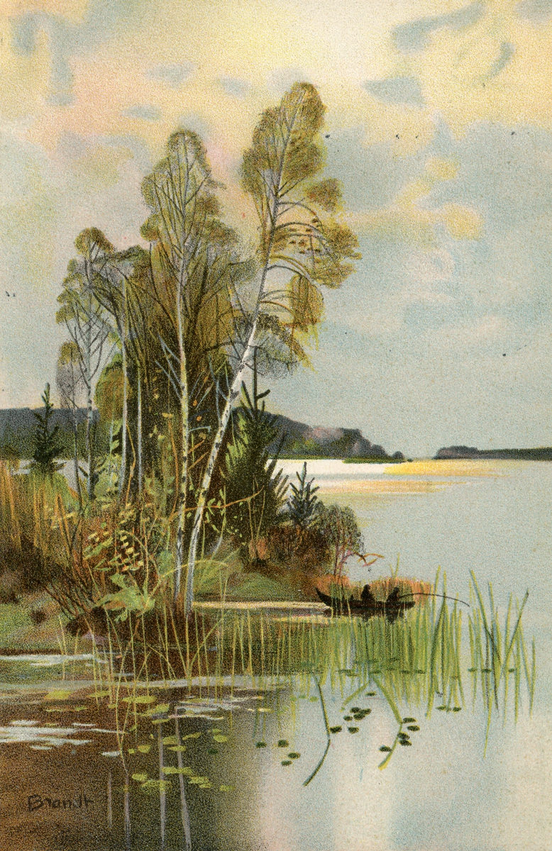 Brevkort adresserat till sjuksköterskan Amanda Palm, 1906. Motiv av en sjö med några i en eka som fiskar och björkar på land. 
Text på baksidan: " Många lyckönskningar på födelsedagen af H. Lindhe".