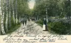 Brevkort adresserat till sjuksköterskan Amanda Palm 1904.
Motiv av Seljansövägen, Sandviken med människor på promenad.
Text på framsidan: 