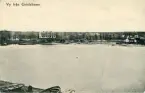 Brevkort adresserat till sjuksköterskan Amanda Palm 1903. 
Motiv av vy från Grisslehamn med hus längst bort i bild och några ekor närmast i bild.
Text på baksidan: 