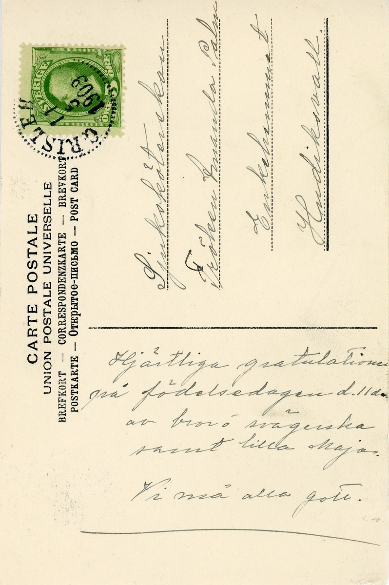 Brevkort adresserat till sjuksköterskan Amanda Palm 1903. 
Motiv av vy från Grisslehamn med hus längst bort i bild och några ekor närmast i bild.
Text på baksidan: "Hjärtliga gratulationer på födelsedagen d. 11de av bror å svägerska samt lilla Maja. Vi må alla gott".