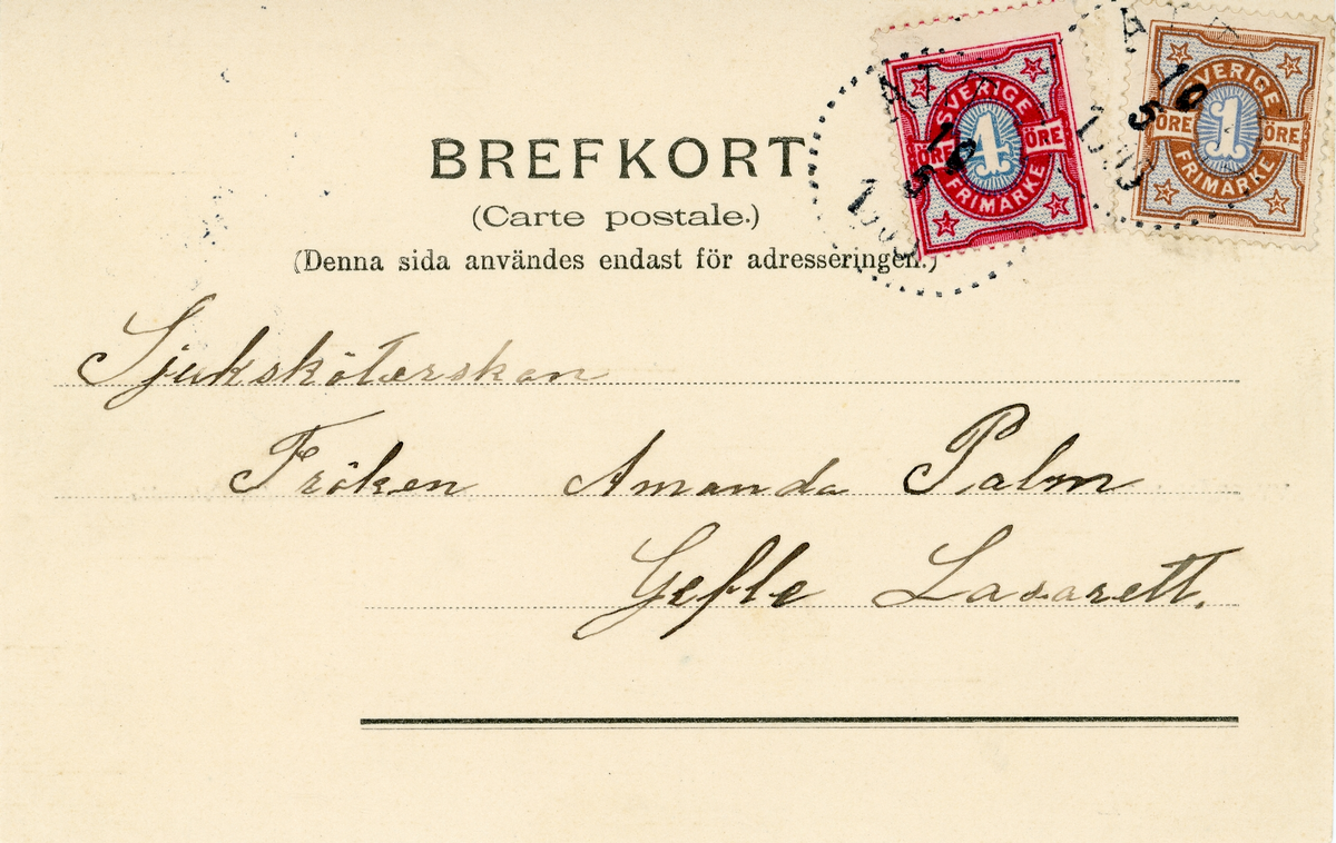 Brevkort adresserat till sjuksköterskan Amanda Palm.
Motiv av vy från Altuna med personer ute i en eka och strandkant med byggnader i bakgrunden.
Text på framsidan: "Fröslunda den 10/5 1905. En hjärtlig gratulation på födelsdagen tillönskas af A. N".