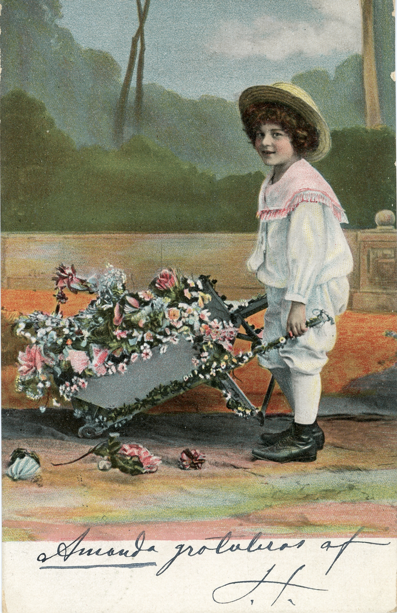 Brevkort adresserat till sjuksköterskan Amanda Palm 1905.
Motiv av en pojke som skjuter fram en skottkärra full med blommor.
Text på framsidan: "Amanda gratuleras af J. F ?".