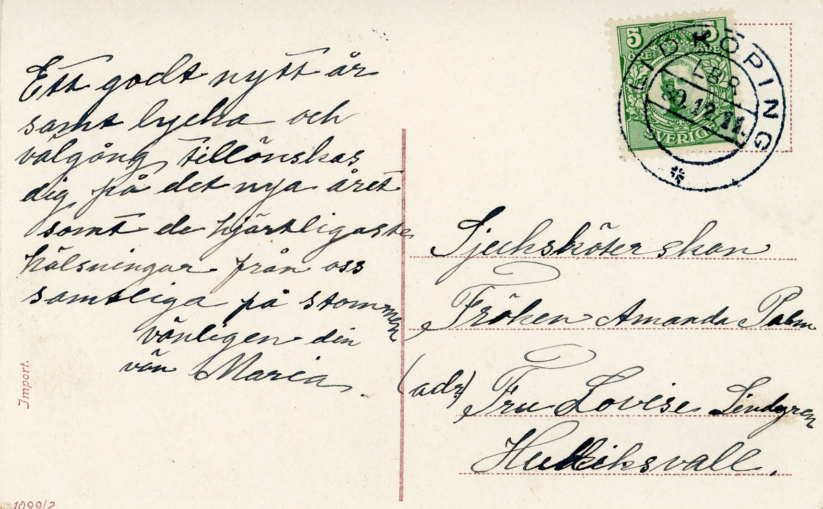 Brevkort adresserat till sjuksköterskan Amanda Palm 1911.
Motiv av en flicka som håller i en korg med blommor.
Text på framsidan: "Gott Nytt År!". Text på baksidan: "Ett godt nytt år samt lycka och välgång tillönskas dig på det nya året, smat de hjärtligaste hälsningar från oss samtliga på stommen. Vänligen din vän Maria".