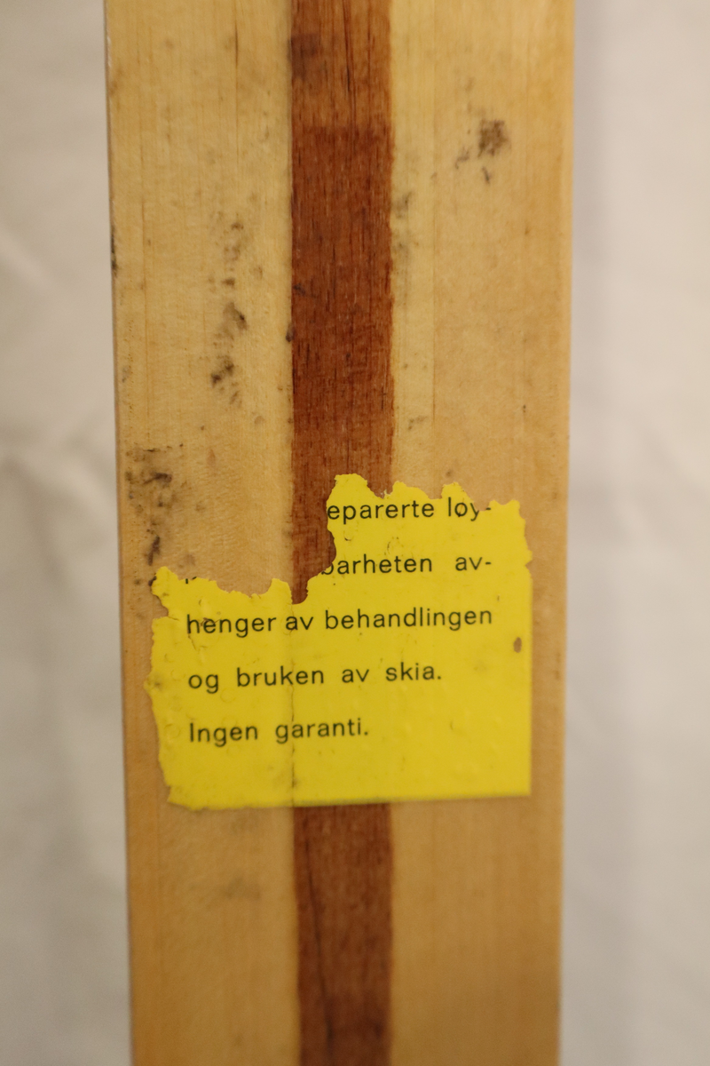 Lett-ski i med overplate og såle i bjørk, hickory kanter og balsa kjerne.