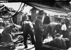 Medföljande text: "Storsjöbåten Polanda lämnar fisk i Skärhamn. Repro GHM B 4299".