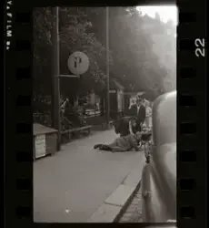 Bildserie som skildrar en man som går ut med sin hund på pro