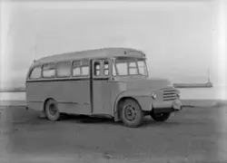 Buss