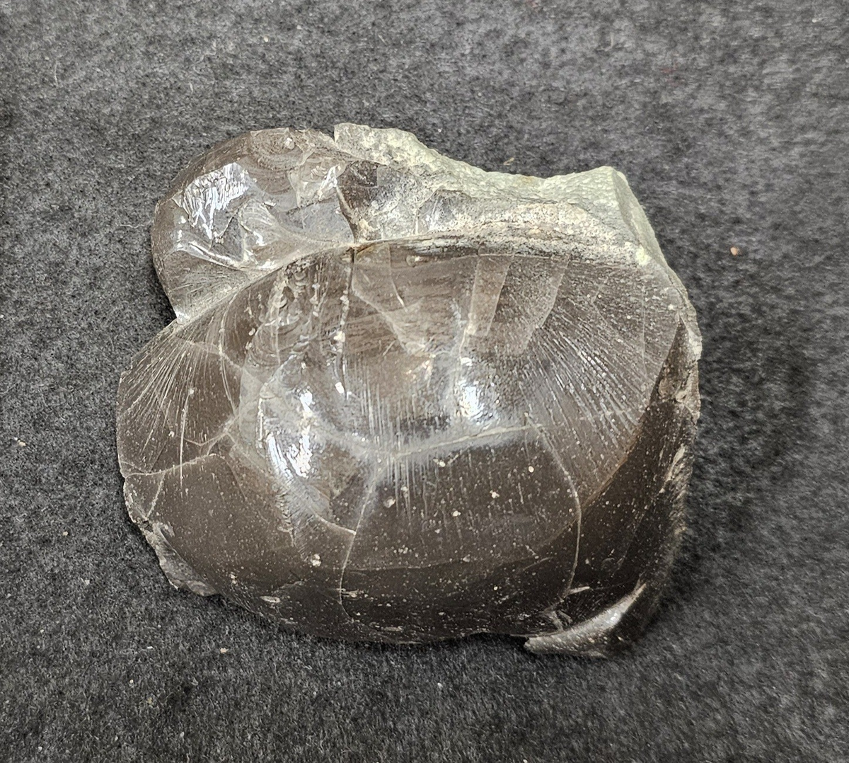 Bergart/Fossil/Mineral: slagg
Varietet: 
Klassificering: slagger
Paragenes: 

Land: 
Fyndplats: 

Stuffen ingår i samlingen från Läroverket i Vänersborg.
