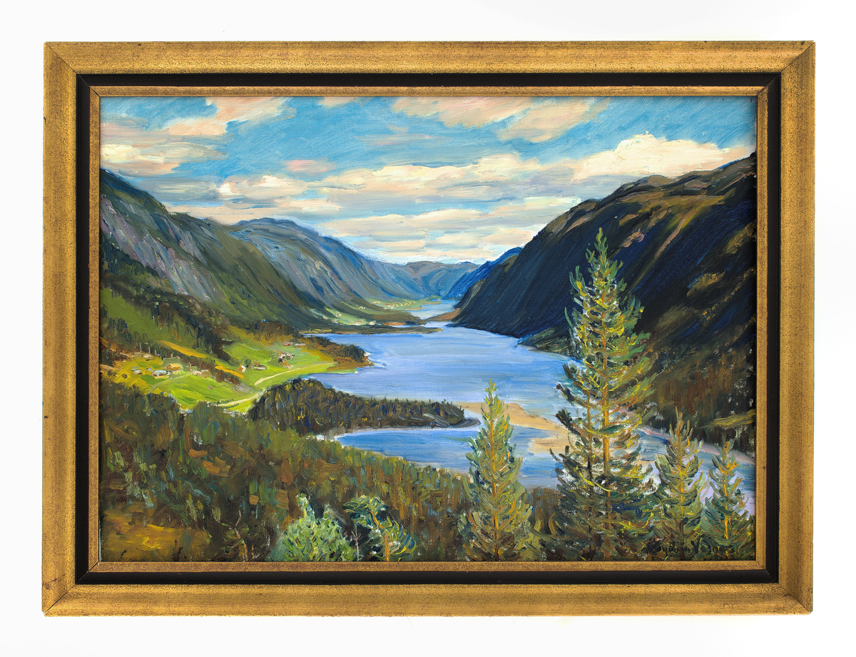 Utsyn over Grungedal.