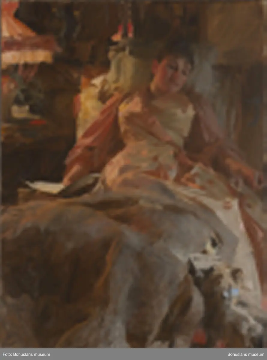 Madame Clara Rikoff; bankirhustru, Paris.
Ljusstudie utförd i Paris av Anders Zorn år 1890
Madame Rikoff i hemmiljö, halvliggande i en stoppad möbel i skenet från en bordsarmatur med glödlampsljus som står på ett bord bredvid henne. Hon är klädd i en ljus sidenklänning med gulröda prickar och gulröda ärmar och detaljer. I förgrunden ligger en päls av något slag. I sin högra hand håller hon papper (som hon kanske läst) och nere i höger hörn kommer en liten sällskapshund med blå rosett knuten i nackpälsen fram till henne bärande ett brev eller en tidning i munnen. Zorn har signerat och daterat dokumentet som hunden förmedlar.