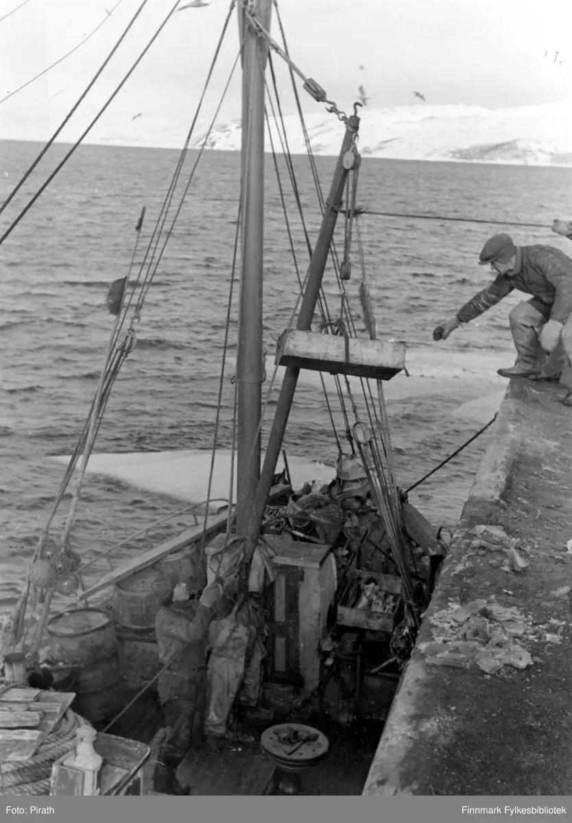Fiskefangst heises på land med kran fra en motorkutter ved kai i Kirkenes i mars 1941.