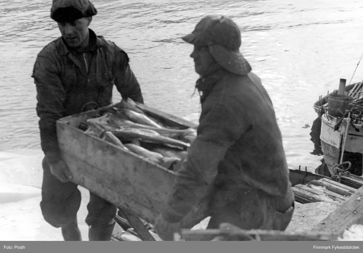 To fiskere løfter kasser med fersk torsk i trekasser fra kaikanten til en slede ved et mottak i Kirkenes i mars 1941.