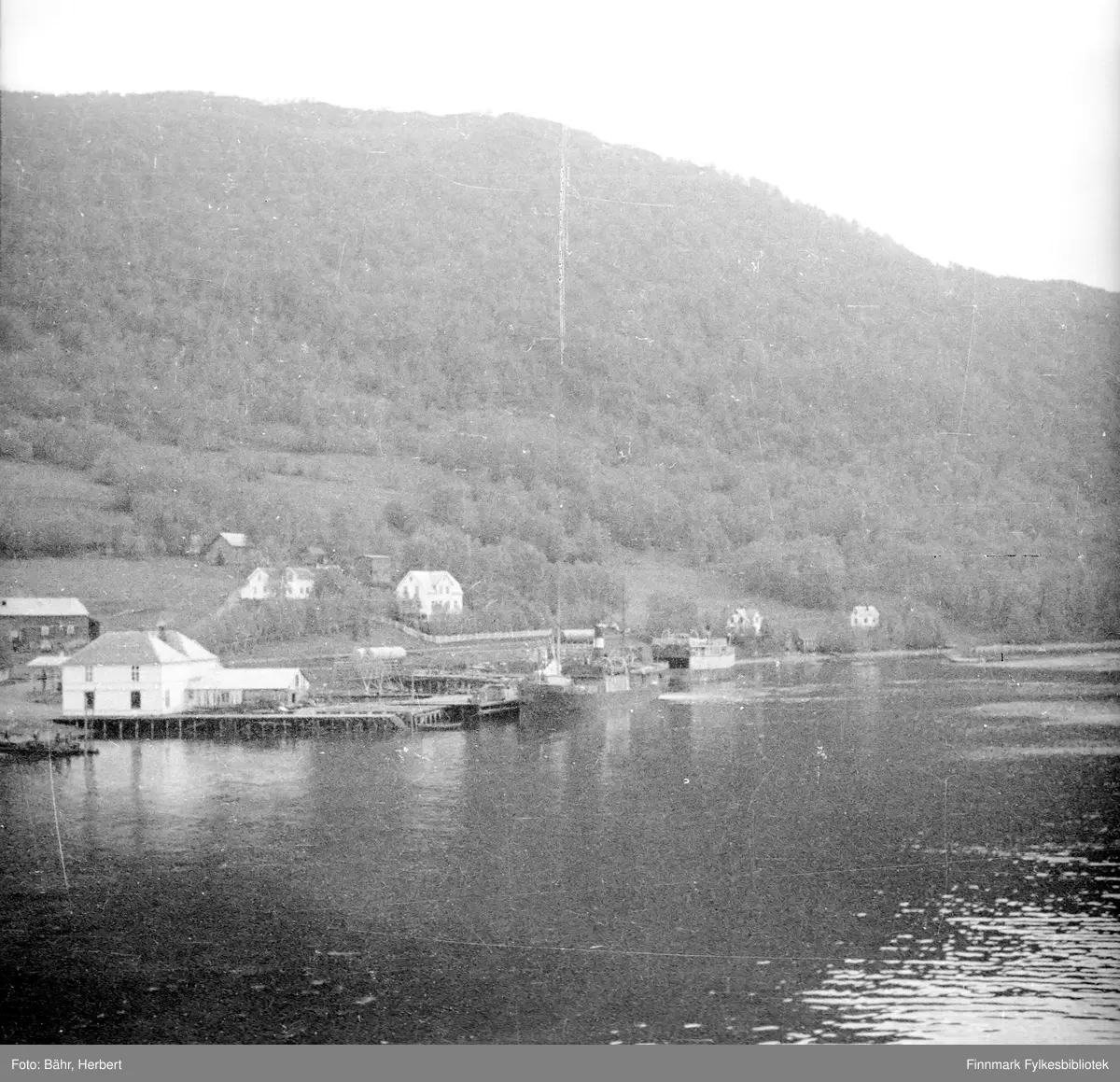 Lyngseidet forsommeren 1942.