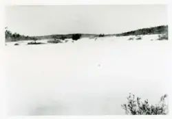 Skogfoss, Pasvik.