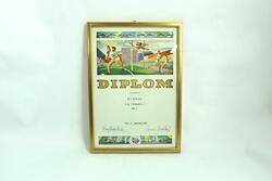 Diplom