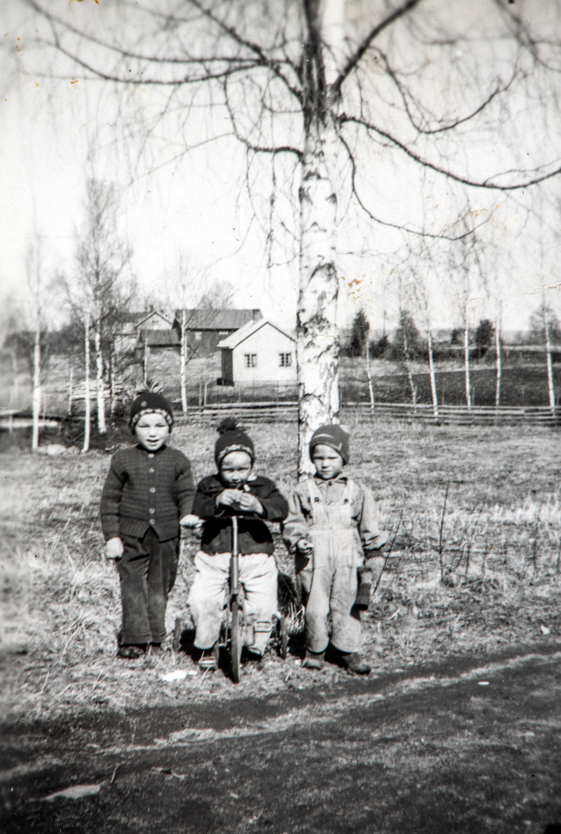 Tre barn, en med trehjulsykkel. Tor-Erik gundersen, Bjørn Roger Gundersen og Anne Lauritsen i Bjørke.  I bakgrunnen huset til Nora og Johan Søsveen .
Ca. 1955.