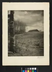 Landskap fra Asker. I front en bjørkestamme med noen tynne g