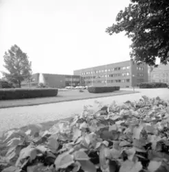 Falköpings stadshus.