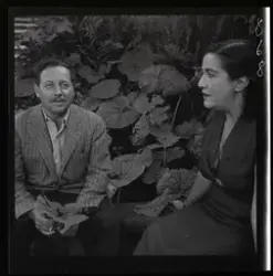 Manusförfattaren Tennesse Williams och vännen Lilla van Sahe