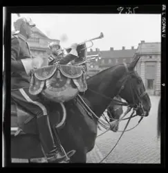 Högvakten vid Stockholms slott.