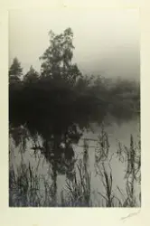 Ved en innsjø, utstillingsbilde, utstillingsbilde.