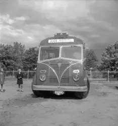 ANA-buss