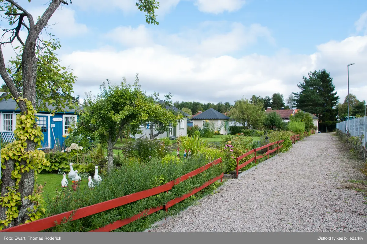 Borregaards kolonihage, Opsund i Sarpsborg 2012.

Det var i 1925 at Ellen Wessel, kona til generaldirektøren ved Borregaard, tok initiativ til å anlegge kolonihage på Opsund i Sarpsborg. Kolonihagehyttene skulle være for Borregaards ansatte. Borregaard leide ut tomt, og ga gjerde rundt eiendommen, samt anla veier og vannledning. Det ble bygd 29 hytter på området som var 11 mål stort.  1928 var alle hyttene ferdigbygd. Hyttene hadde to størrelser, 11 og 14 km2, de største var for funksjonærer og de minste for arbeidere. Hver parsell var på 240 km2. 