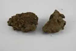 Osmundslagg