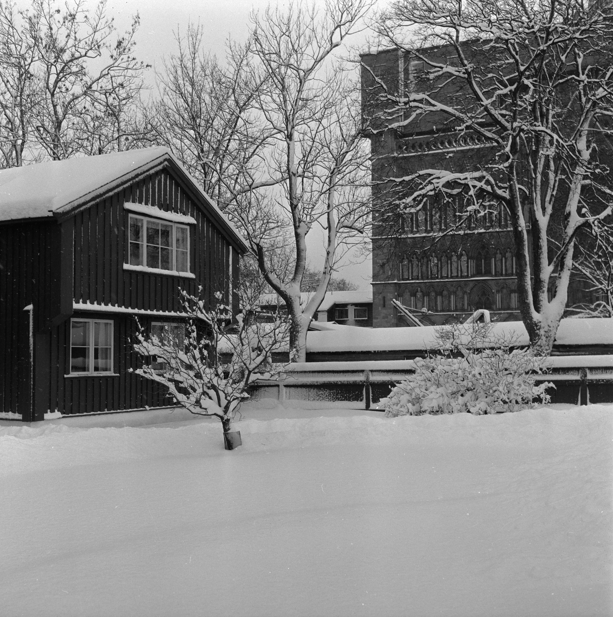 Waisenhuset i vinterdrakt