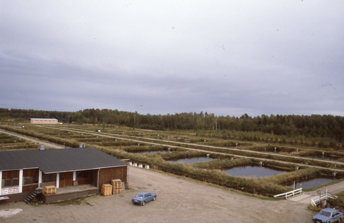 Dambruk, Finland : Utsikt over et dambruk