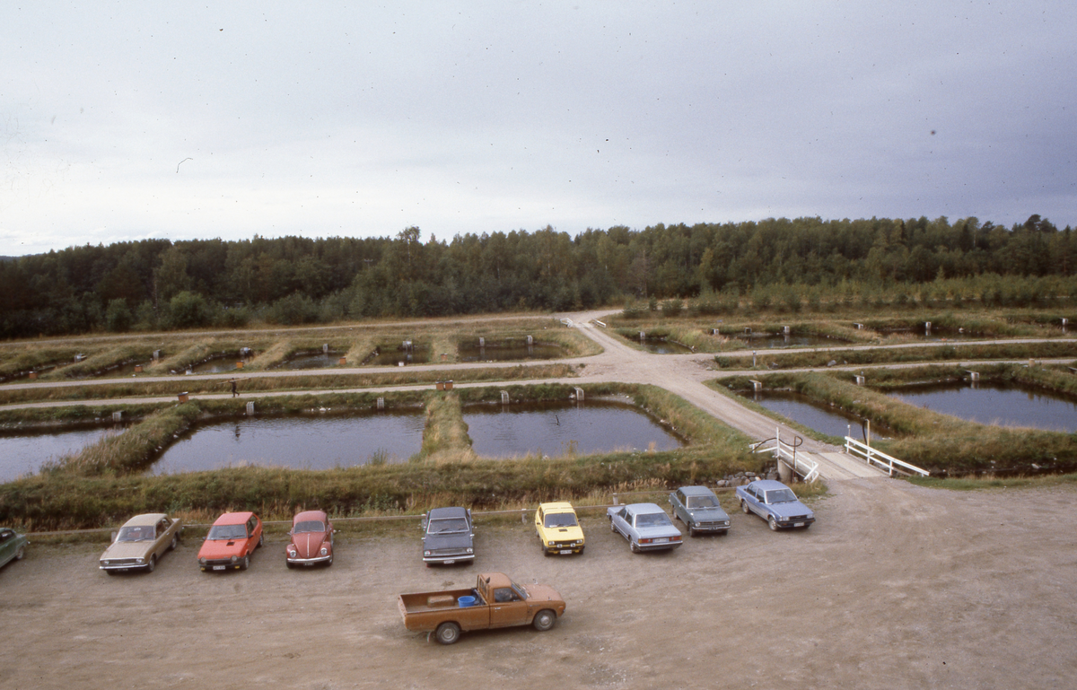 Dambruk, Finland : Utsikt over et dambruk