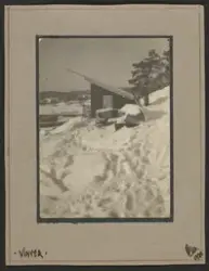 Vinter