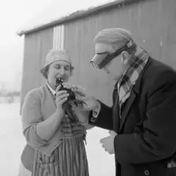 Due på julebesøk på gården Myrset på Reppe