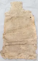 Skinnfell
