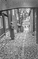 Pilens Backe i Linköping
