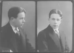 Herr Persson på Loviseberg i Västerås