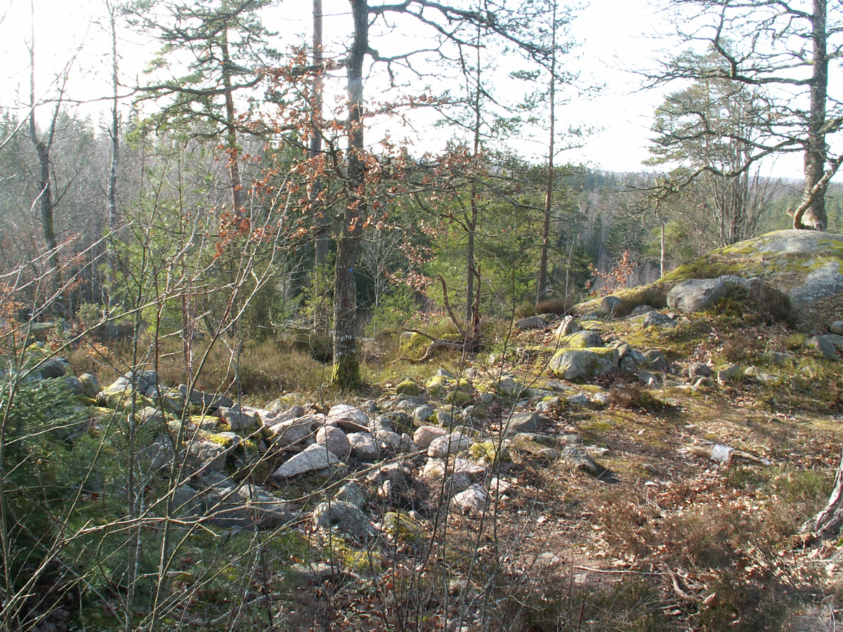 Under hösten 2007 genomförde Smålands museum en mindre arkeologisk forskningsundersökning av fornborgen Gripeberg. Projektets målsättning formulerades utifrån två ståndpunkter. Det första syftet
var att försöka klargöra borgens karaktär, funktion och datering, samt förstå det sammanhang i vilket den ingått. Det andra syftet var att driva undersökningen med en tydlig pedagogisk vinkling. Undersökningen genomfördes  tillsammans med medlemmarna i Kronobergs arkeologiska förening och deltagare
i projektet Skog & Historia. Sammanlagt deltog ett 40-tal amatörer under de två veckor som undersökningen pågick. Projektet visade att den södra muren anlagts under yngre bronsålder och att den västra muren, med en helt annan karaktär, var historisk. Vid undersökningen framkom ett antal stenpackningar som antogs kunna vara förhistoriska gravar. Anläggningen bedömdes också ha haft en annan betydelse än som försvar.
Anledning till undersökning
Forskning
Max. höjd över havet
190.0
Min. höjd över havet
180.0