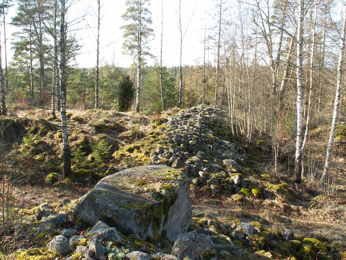 Under hösten 2007 genomförde Smålands museum en mindre arkeologisk forskningsundersökning av fornborgen Gripeberg. Projektets målsättning formulerades utifrån två ståndpunkter. Det första syftet
var att försöka klargöra borgens karaktär, funktion och datering, samt förstå det sammanhang i vilket den ingått. Det andra syftet var att driva undersökningen med en tydlig pedagogisk vinkling. Undersökningen genomfördes  tillsammans med medlemmarna i Kronobergs arkeologiska förening och deltagare
i projektet Skog & Historia. Sammanlagt deltog ett 40-tal amatörer under de två veckor som undersökningen pågick. Projektet visade att den södra muren anlagts under yngre bronsålder och att den västra muren, med en helt annan karaktär, var historisk. Vid undersökningen framkom ett antal stenpackningar som antogs kunna vara förhistoriska gravar. Anläggningen bedömdes också ha haft en annan betydelse än som försvar.
Anledning till undersökning
Forskning
Max. höjd över havet
190.0
Min. höjd över havet
180.0
